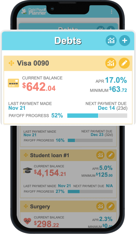 Debt Payoff Planner - Overview