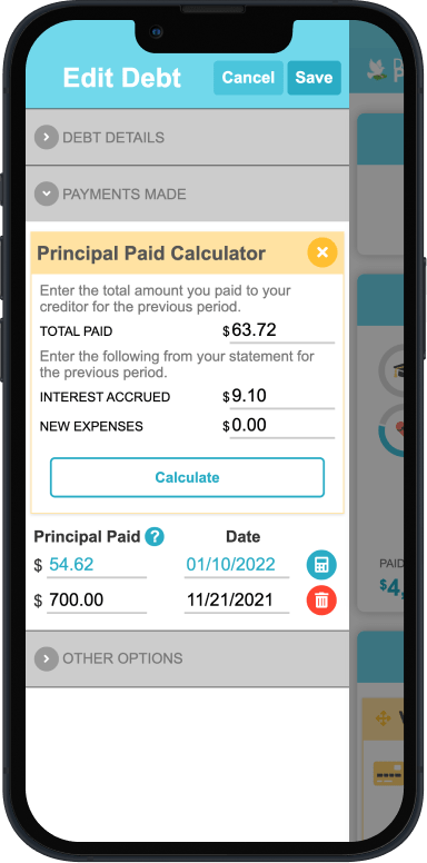 Debt Payoff Planner - Overview