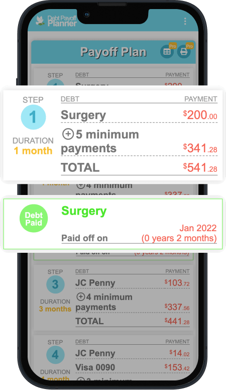 Debt Payoff Planner - Overview