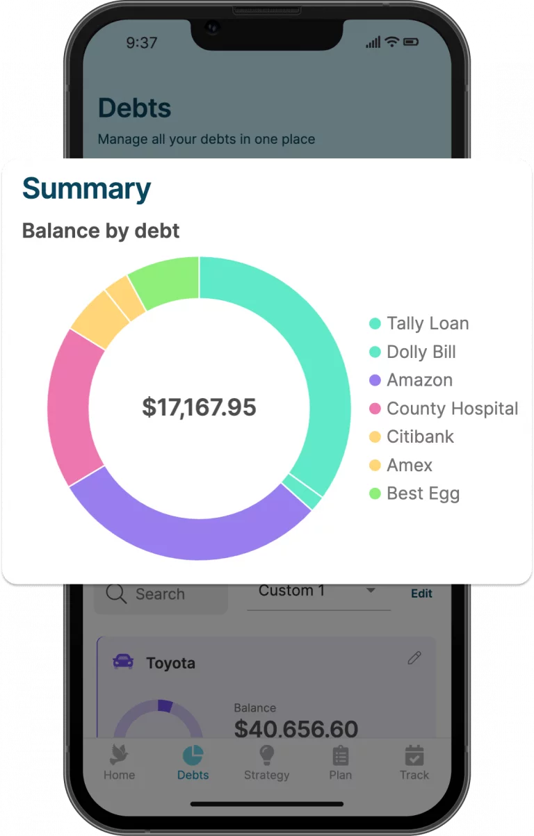 Debt Payoff Planner – Overview