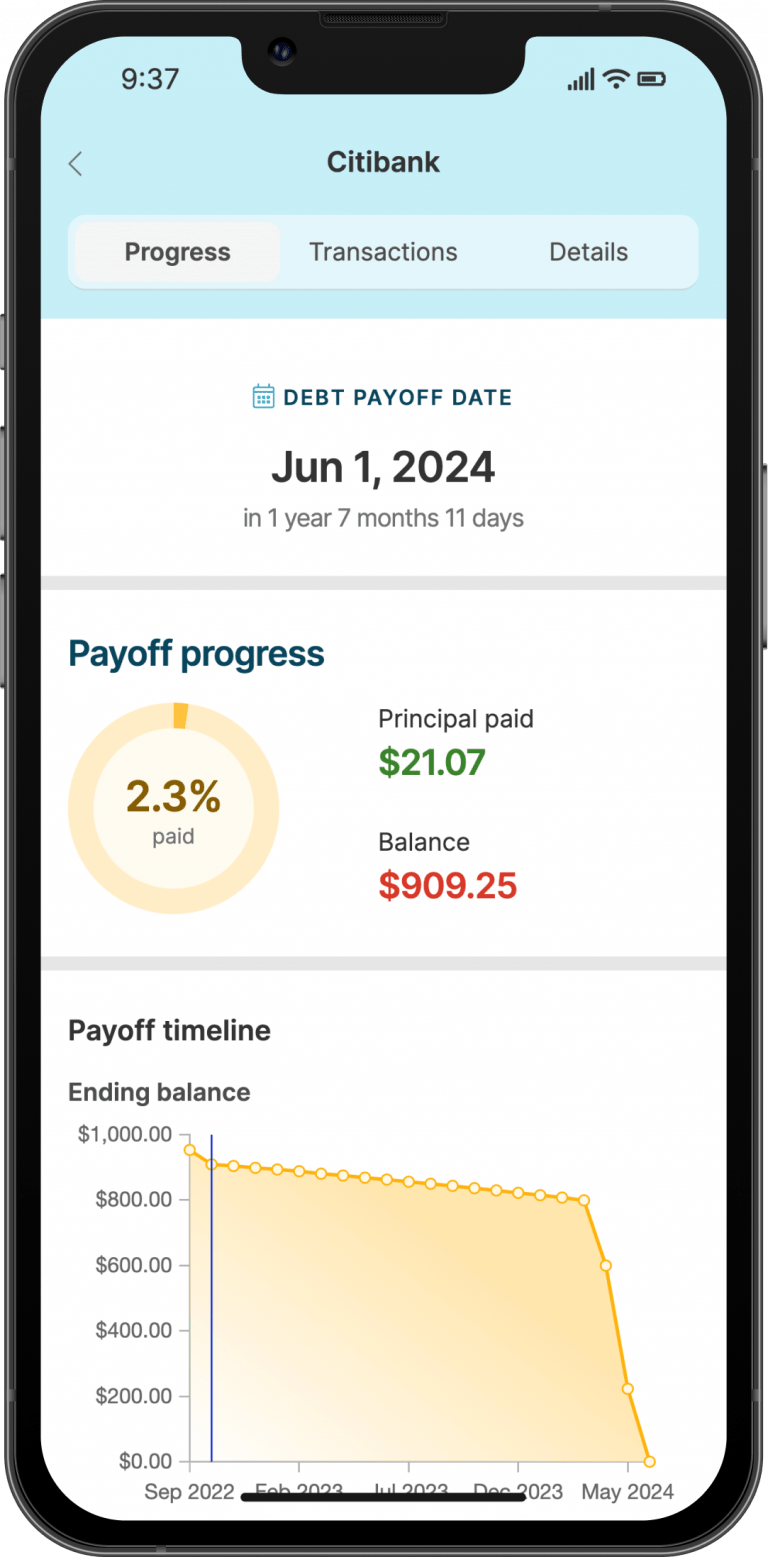Debt Payoff Planner – Overview